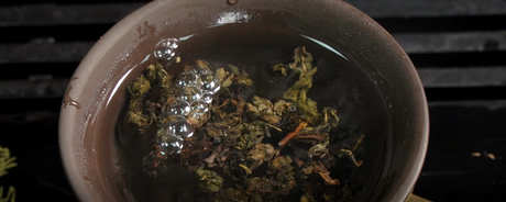 什么茶属于铁观音？