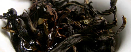 大红袍是煮茶还是泡茶