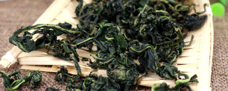 谁不应该喝蒲公英茶？