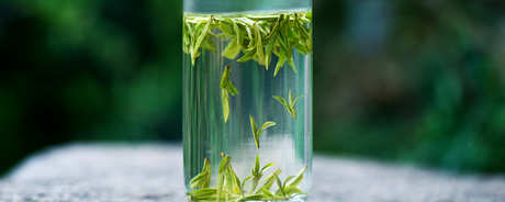 用什么茶具泡龙井茶？