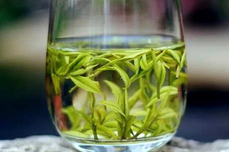 龙井茶能冷泡吗？