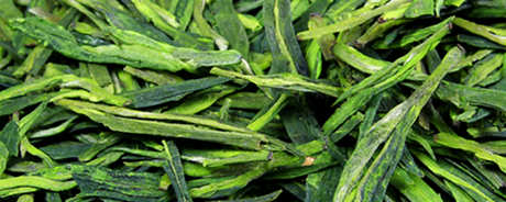 太平猴魁茶属于什么茶？