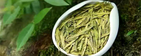 谁不适合喝龙井茶？