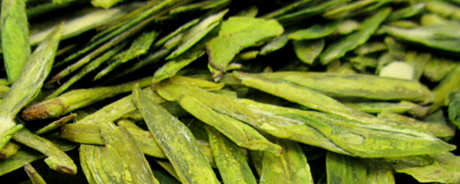 多少水温适合龙井茶？