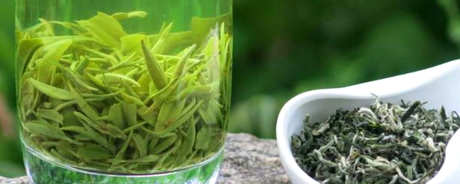 绿茶的种类