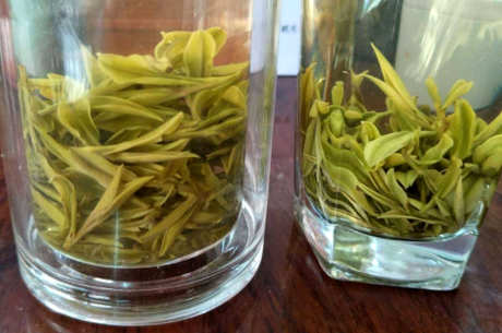 天目湖白茶产地在哪里？