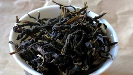 凤凰单丛茶的茶系是什么？