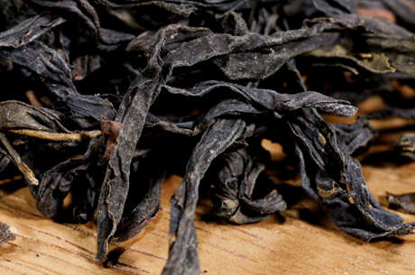 凤凰单丛茶的茶系是什么？