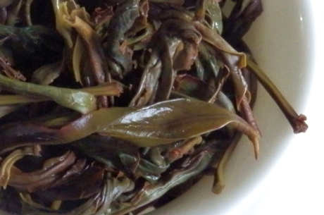 凤凰单丛茶的茶系是什么？