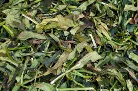 谁适合喝鸭屎香茶？