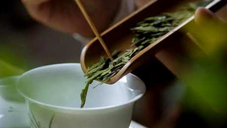 绿茶是什么意思？