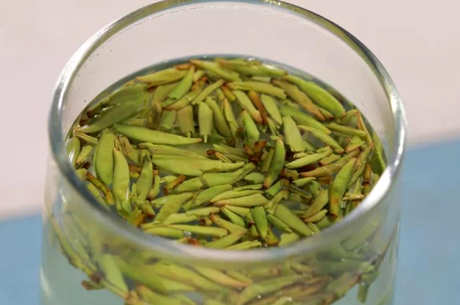 绿茶是什么意思？
