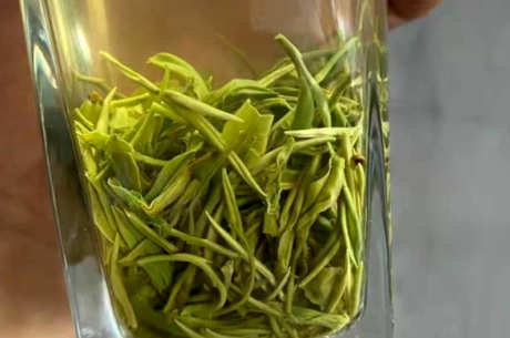 长期饮用绿茶的副作用