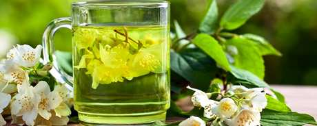 茉莉花茶的种类