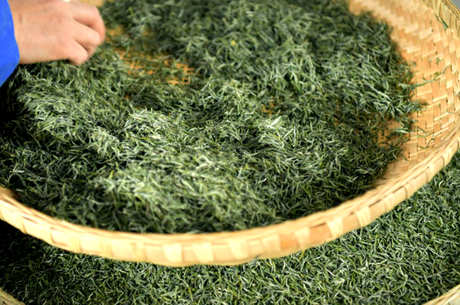 夏天喝红茶好还是绿茶好？