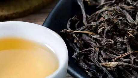 茶放了10年还能喝吗？