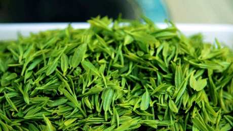 夏天喝什么茶好？