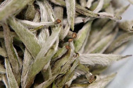 夏天喝什么茶好？