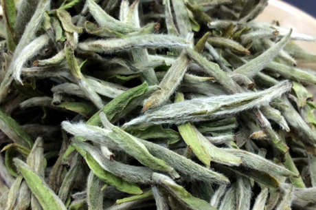 茶毫是什么