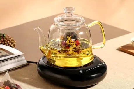 什么茶适合煮茶器？