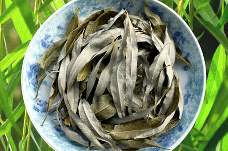 制作柳叶茶的方法