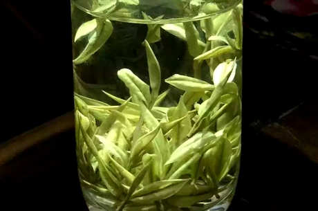 什么是绿茶