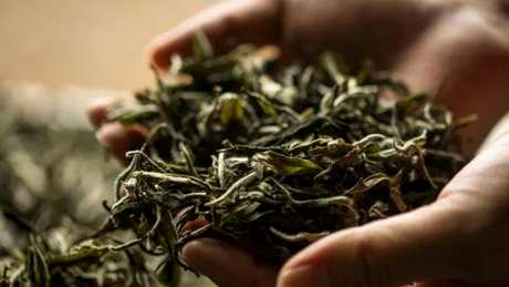 茶叶保质期过后还能喝吗？