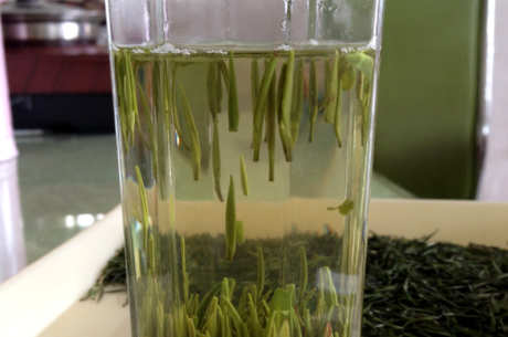 绿茶10年后还能喝吗？