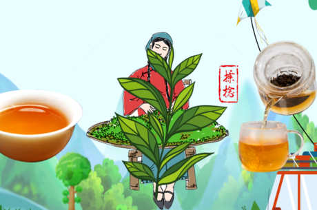 红茶和茯茶有什么区别？