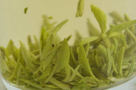 什么茶是太湖碧螺春？
