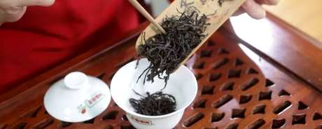吴起单丛是什么茶？