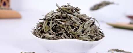 大白毫属于什么茶？
