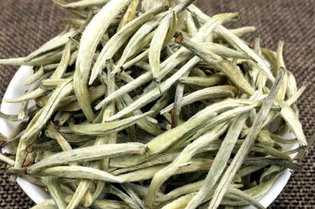 大白毫属于什么茶？