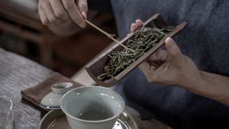 夏天喝白茶好吗？