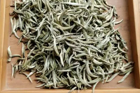 月光白茶属于什么茶？