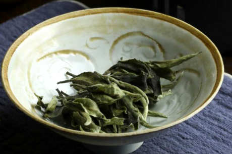 月光白茶属于什么茶？