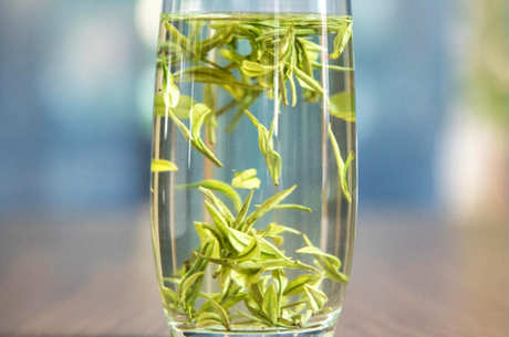 六安白茶属于什么茶？