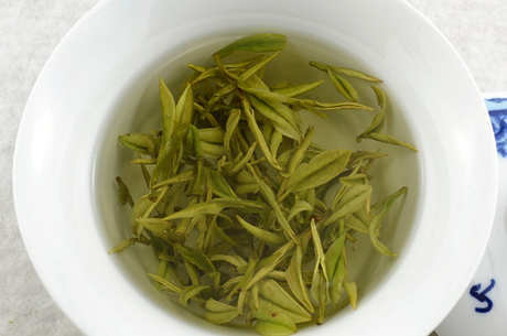 六安白茶属于什么茶？