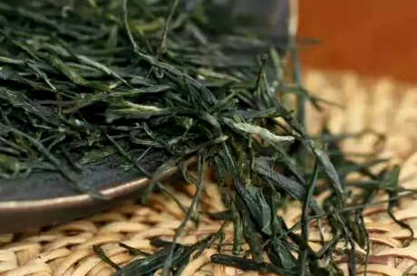 恩施玉露属于什么茶？
