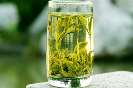 什么茶是永川秀芽？