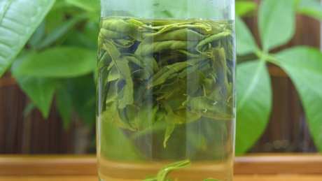 绿茶包括什么茶