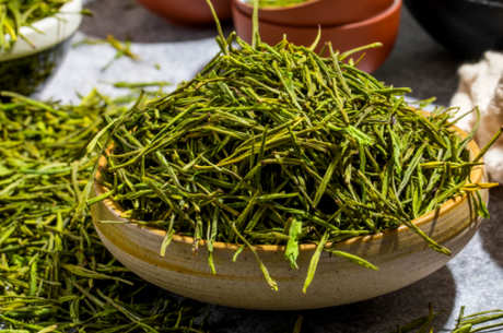 绿茶包括什么茶
