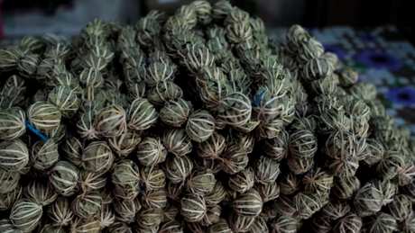 鹧鸪茶谁不适合喝？