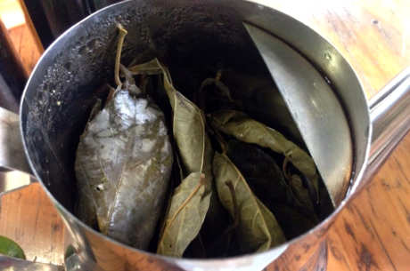 鹧鸪茶谁不适合喝？