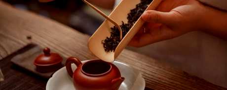 泡普洱茶的正确方法