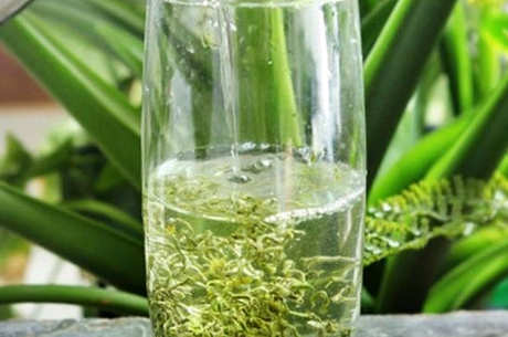 喝碧螺春需要洗茶吗？