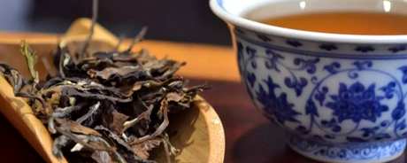 白茶和老白茶的区别