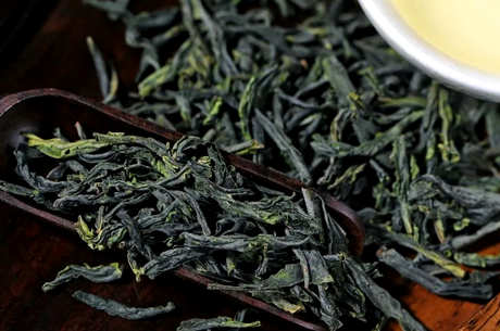 六安瓜片什么茶？