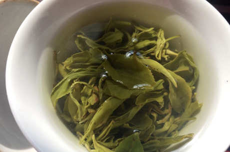碧螺春能一直泡吗？