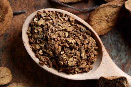 牛蒡茶能天天喝吗？
